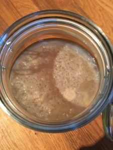 Scoby ovanifrån