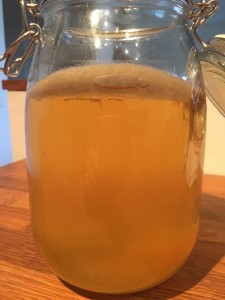 Scoby från sidan